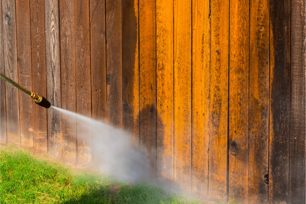 Fence Cleaning