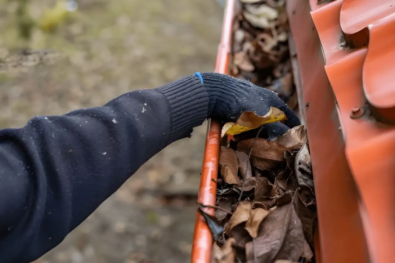 Gutter Cleaning